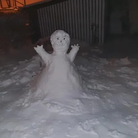 Sonniges * Altenbrak