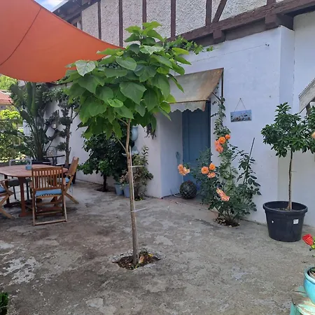 Sonniges * Altenbrak